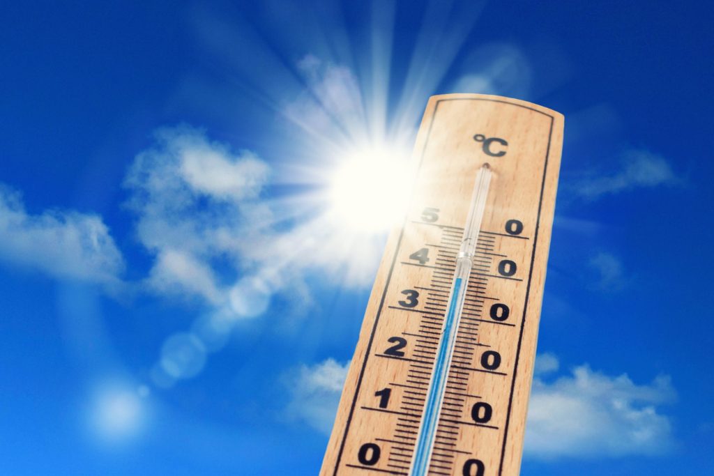 canicule